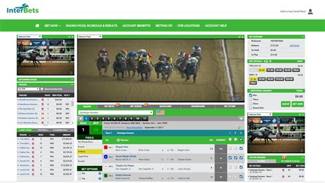 The New Interbets Betting Platform